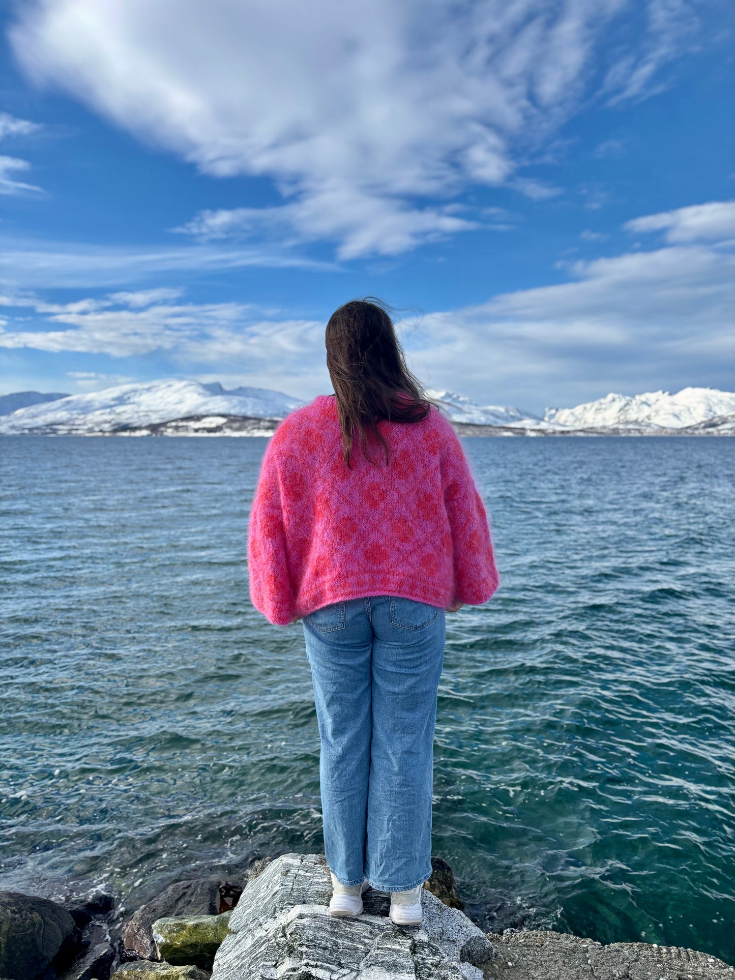 Ylvagenser - garnpakke (Påfugl in Paris)