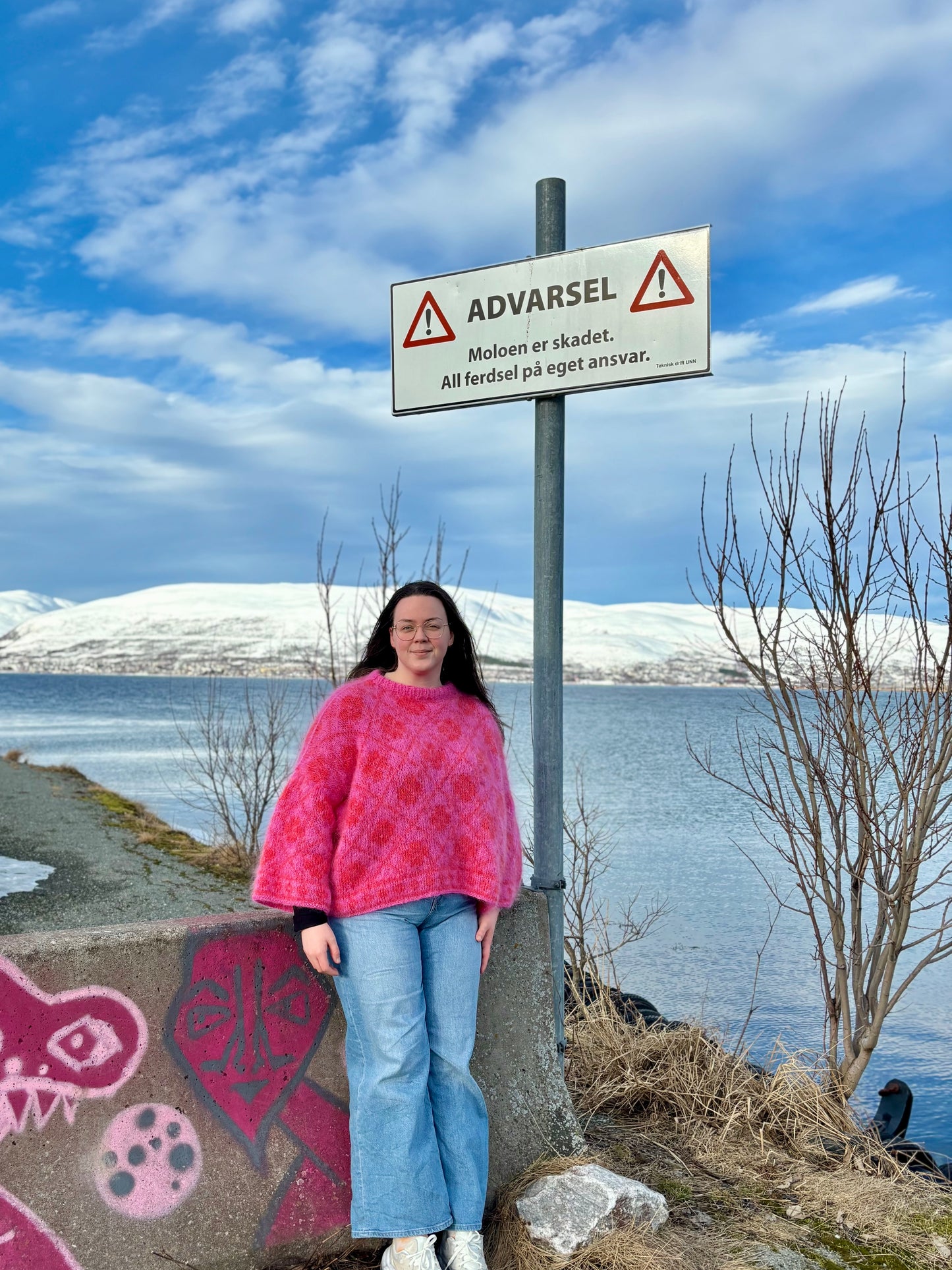 Ylvagenser - garnpakke (Påfugl in Paris)