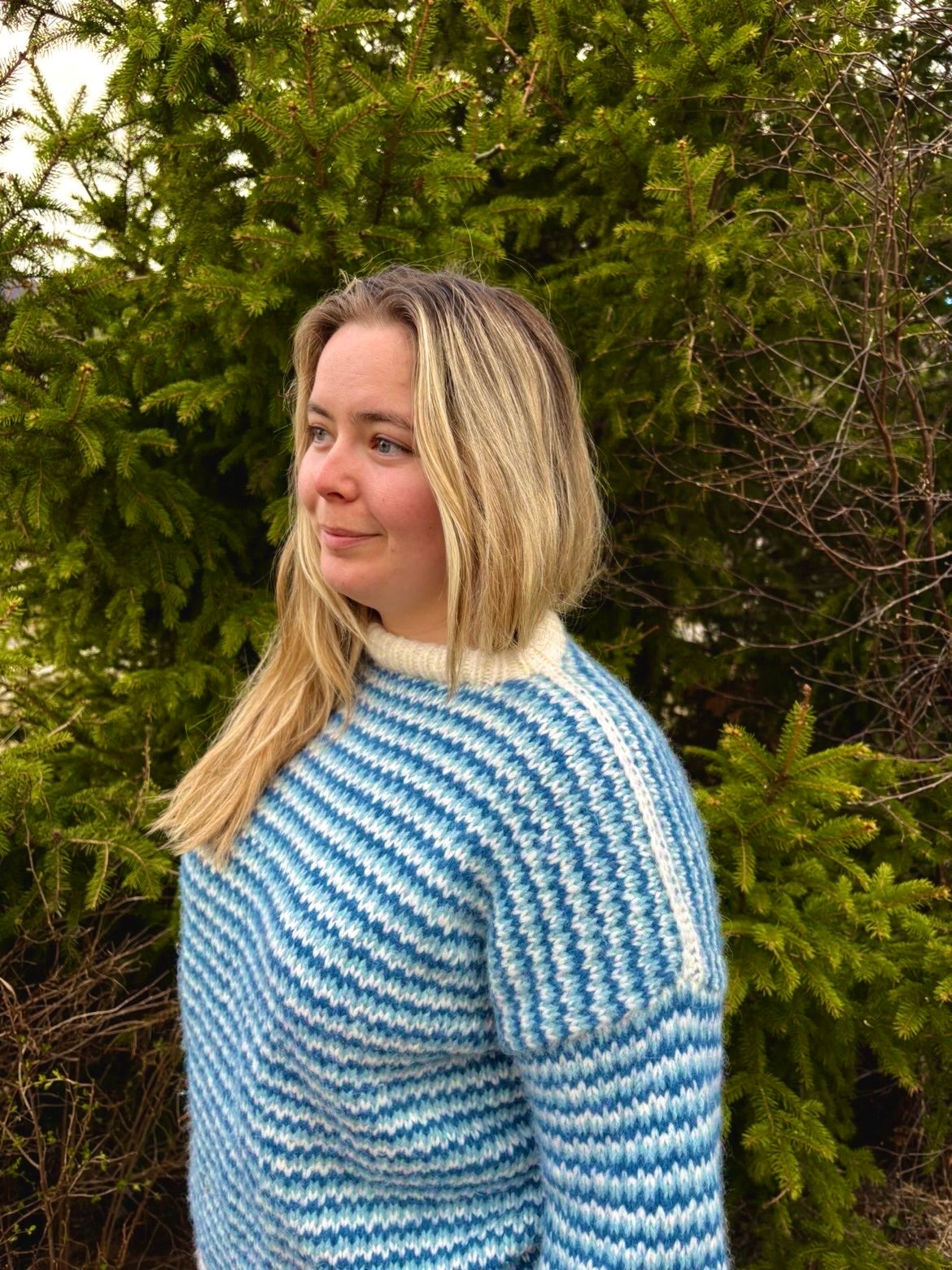 Mentos Sweater (Yarn Kit)